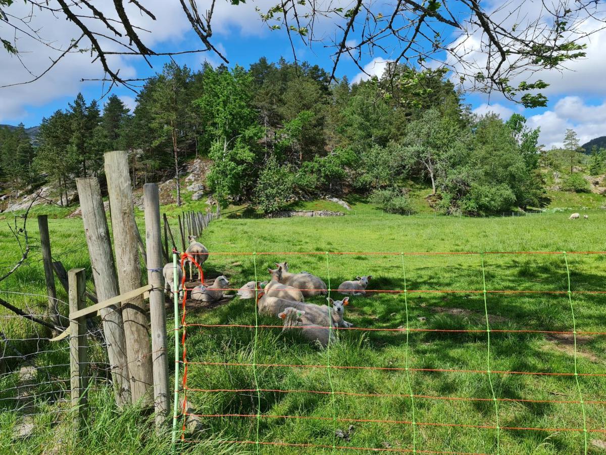 Villa Hygge Pa Fjellet à Øyuvstad Extérieur photo