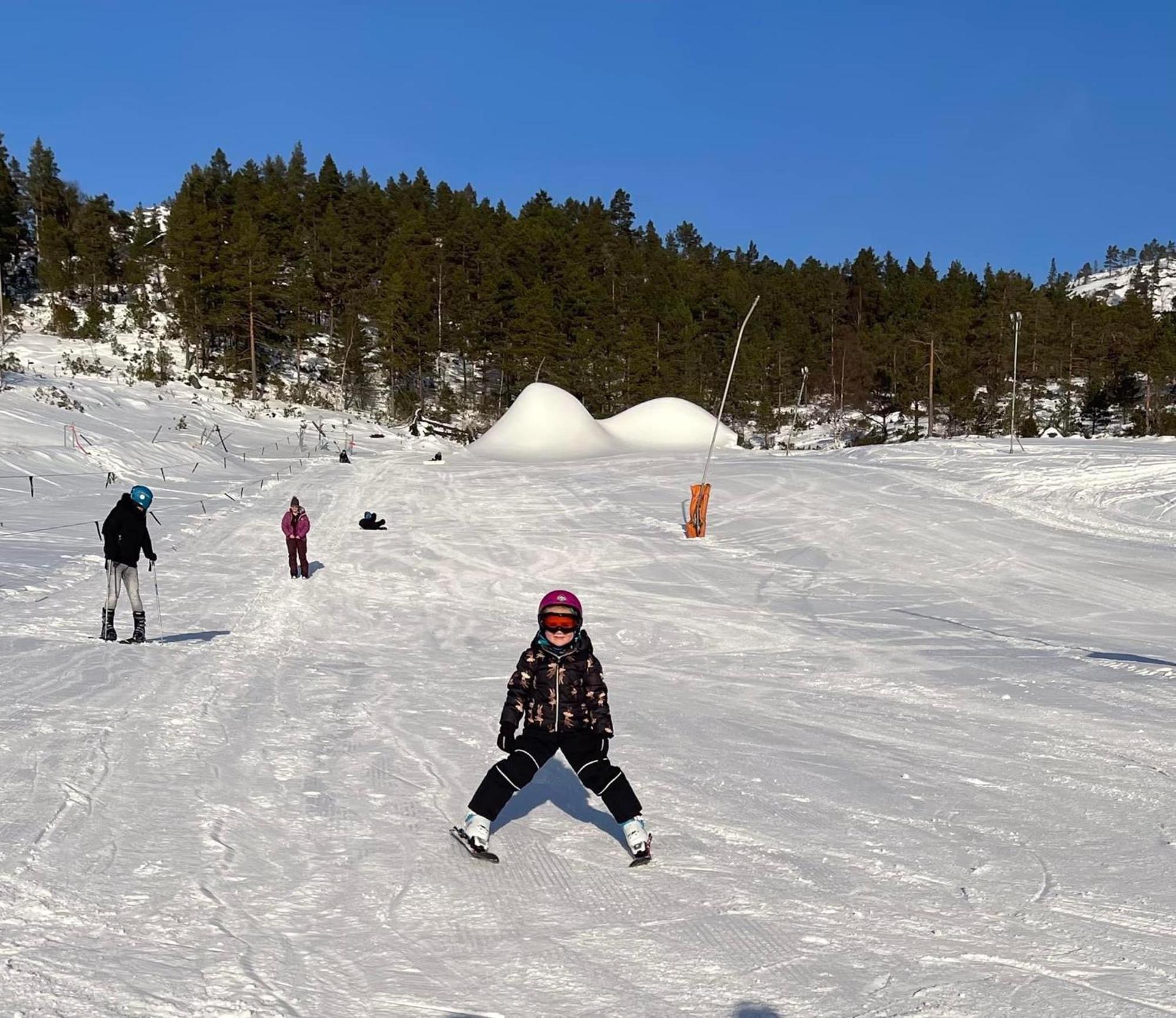 Villa Hygge Pa Fjellet à Øyuvstad Extérieur photo