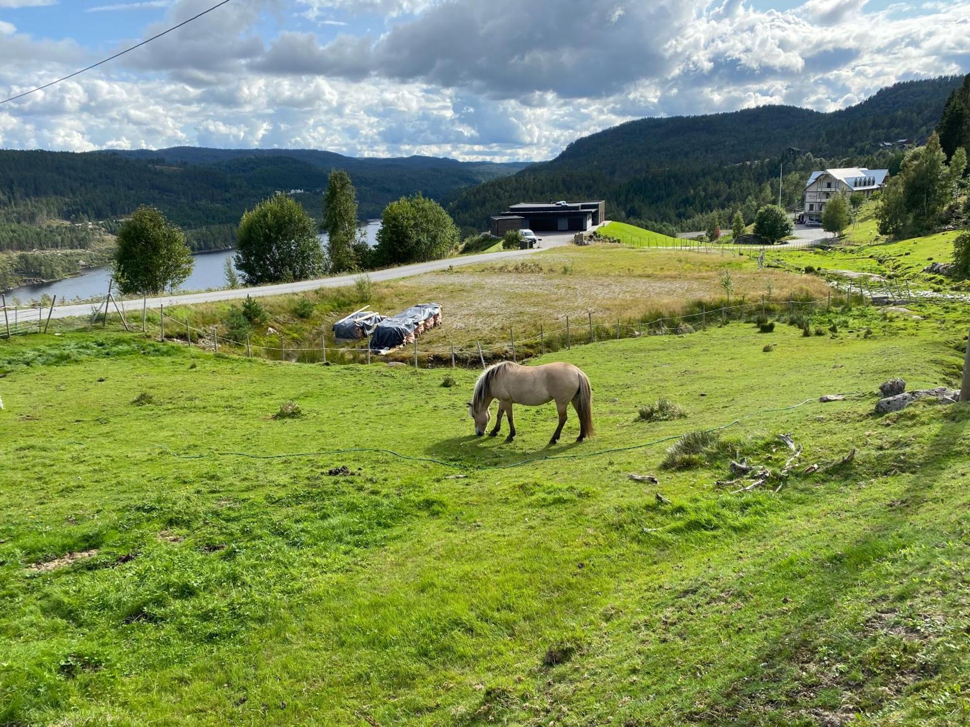 Villa Hygge Pa Fjellet à Øyuvstad Extérieur photo