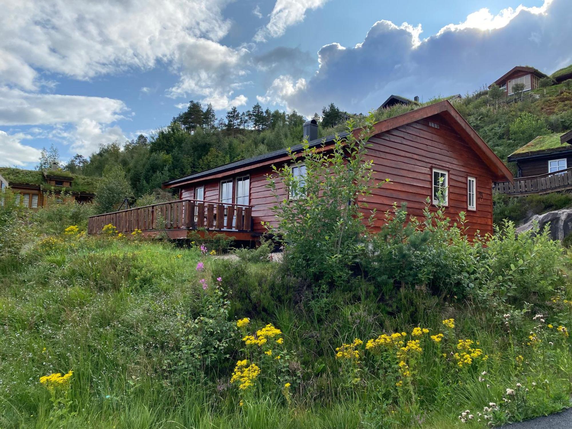 Villa Hygge Pa Fjellet à Øyuvstad Extérieur photo